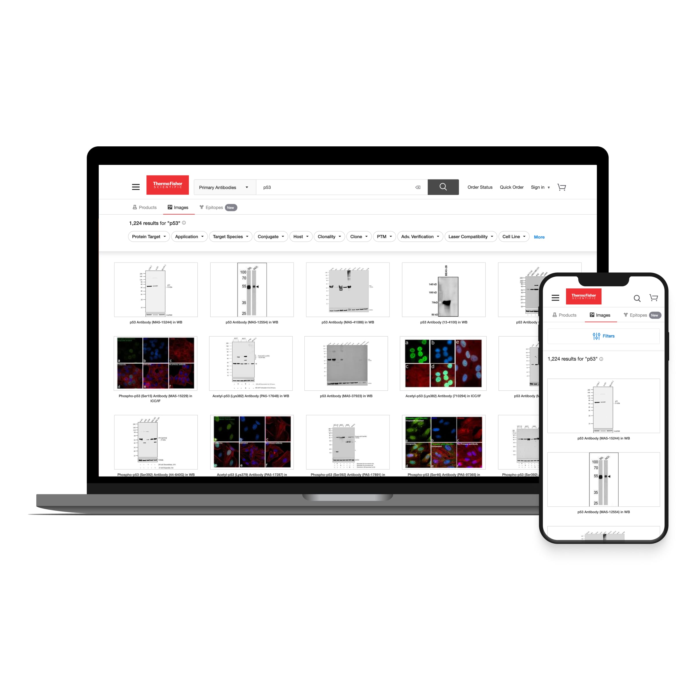 Thermo Fisher Scientific - Image Search Feature